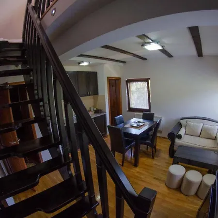 Darija Zlatar - Br. 3 * Nova Varoš