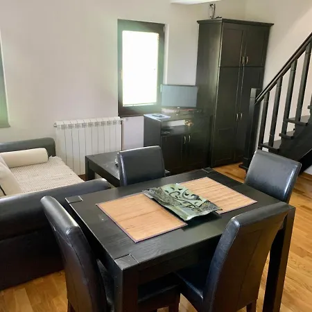 Darija Zlatar - Br. 3 *