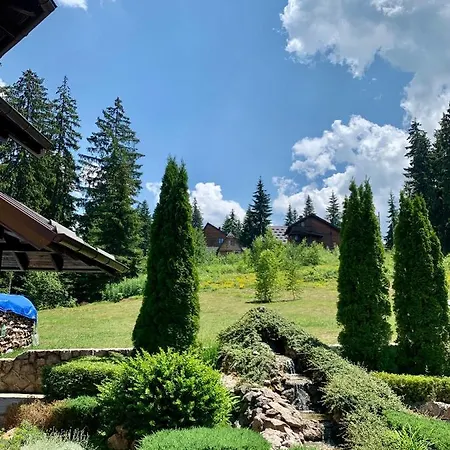 Darija Zlatar - Br. 3 * Nova Varoš