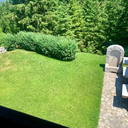 Darija Zlatar - Br. 3 *