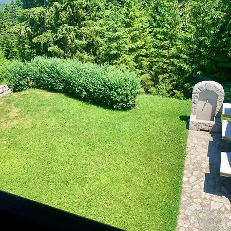 Darija Zlatar - Br. 3 *