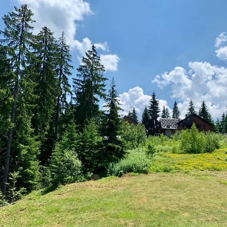 Darija Zlatar - Br. 3